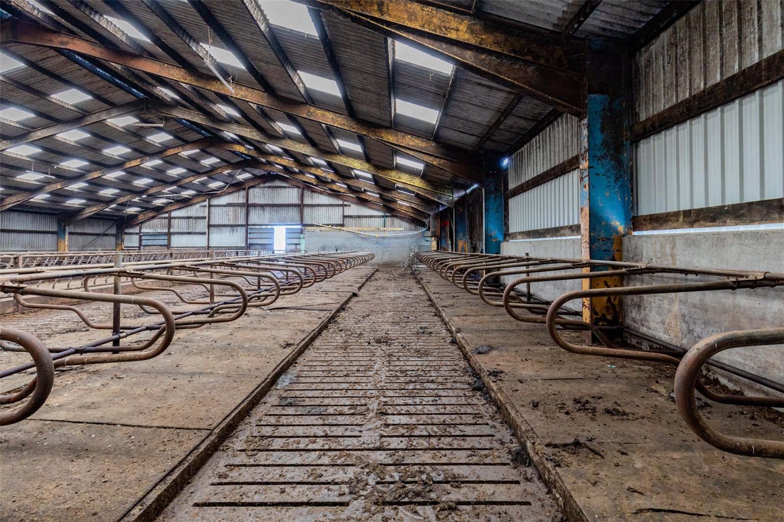 Cubicle Shed