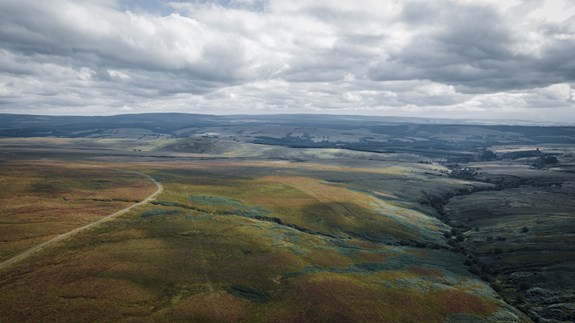 Langholm Moor | Galbraith