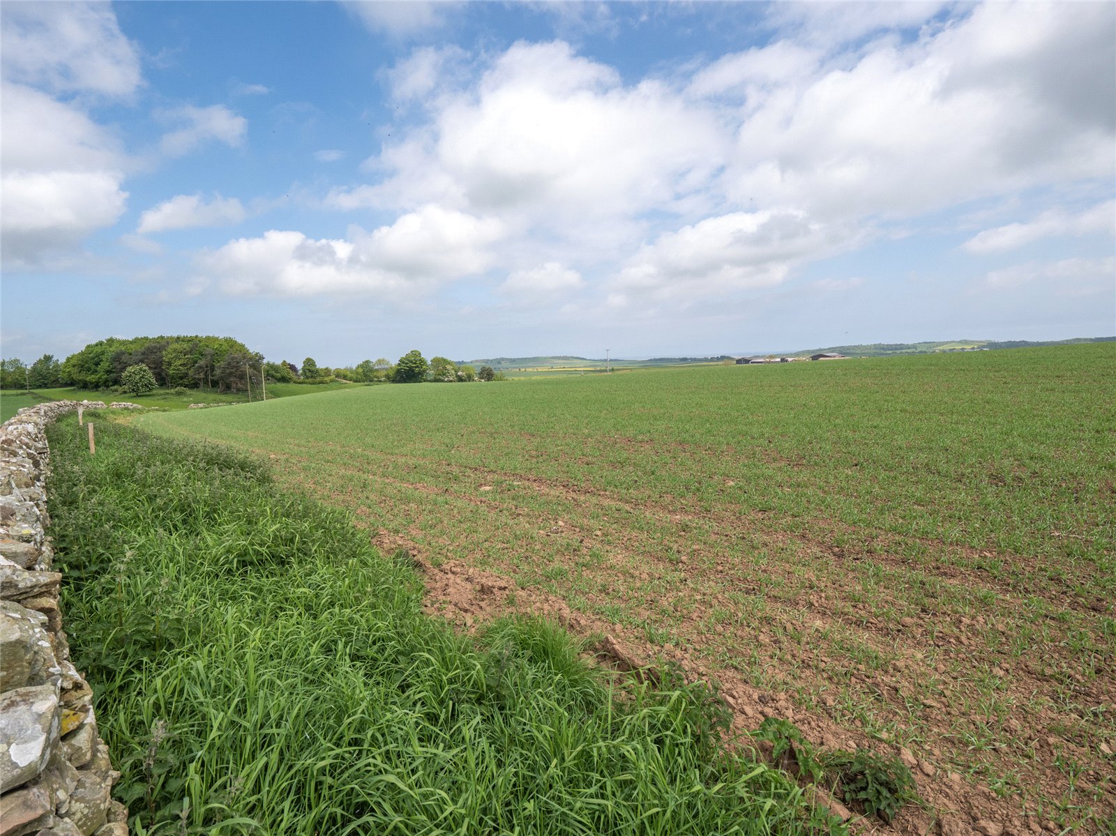 Arable Field