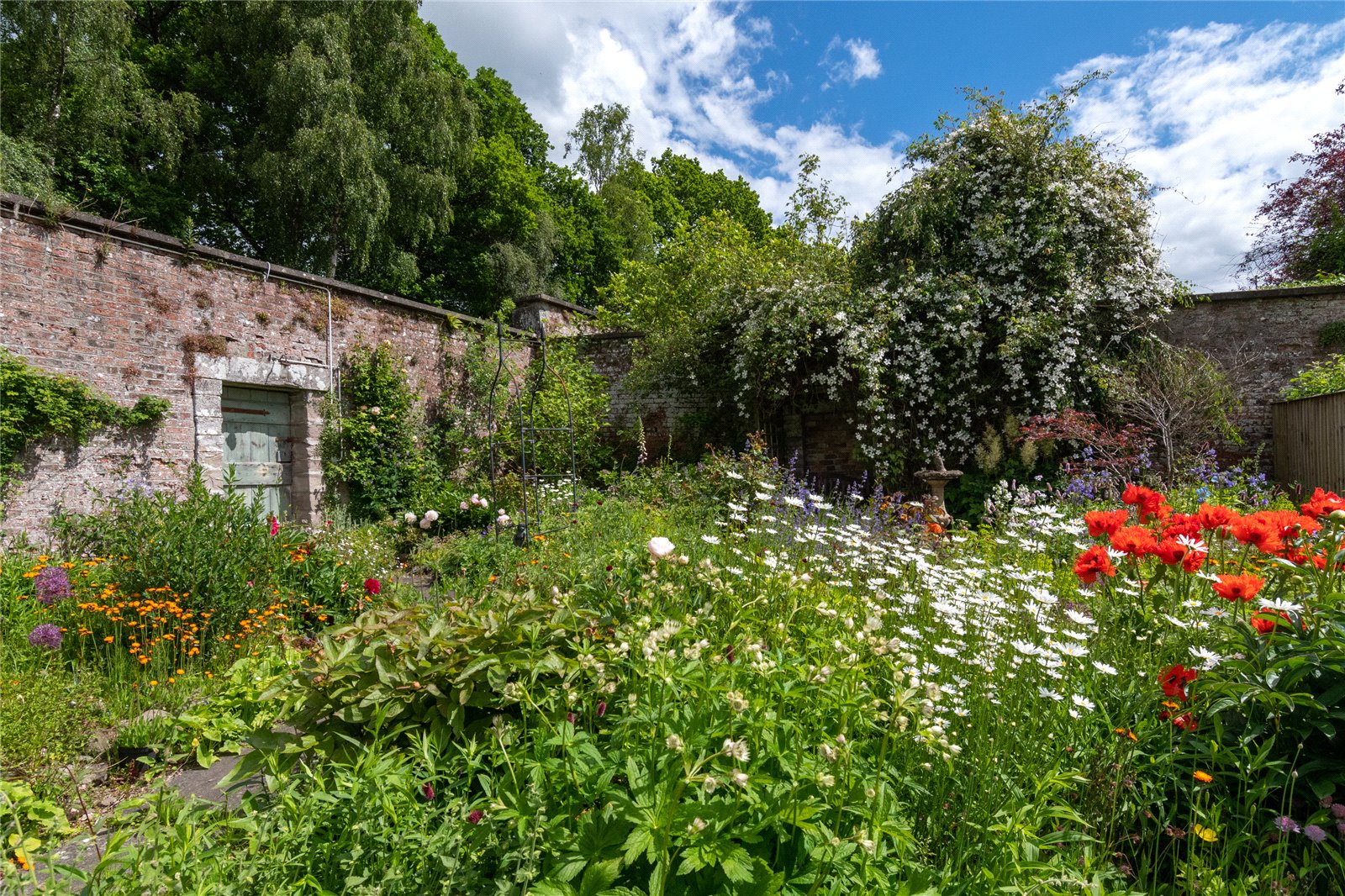 Walled Garden