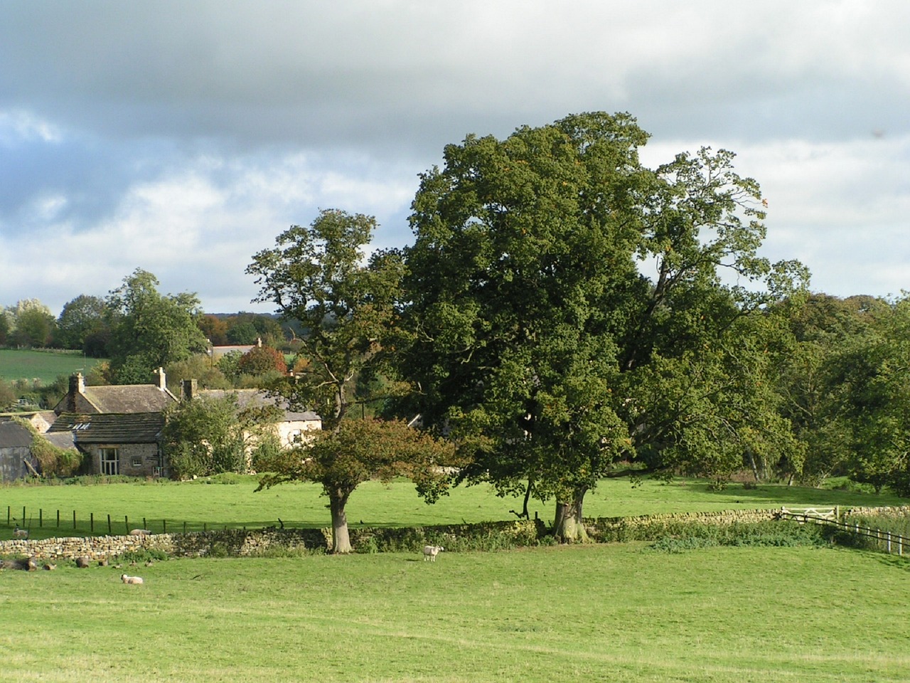 Countryside | Galbraith 