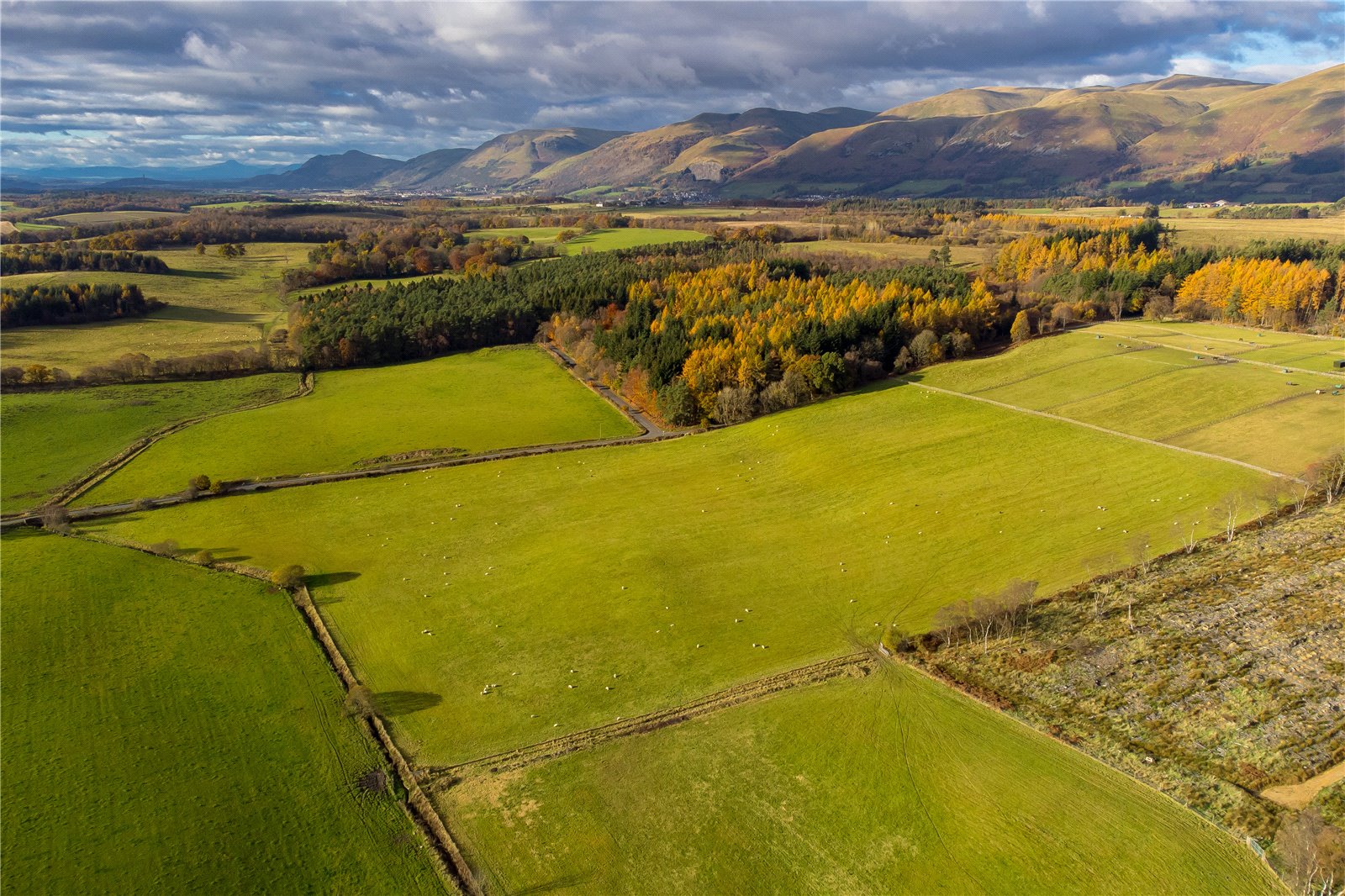 Hay Fields