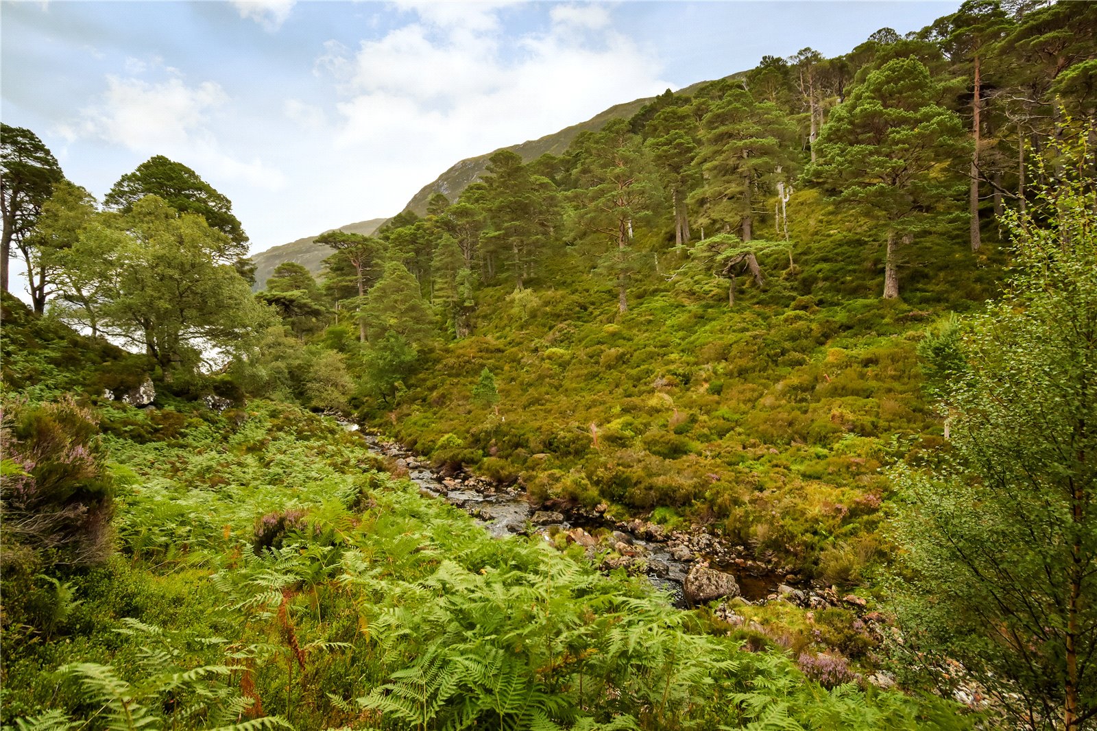 Mullardoch Estate