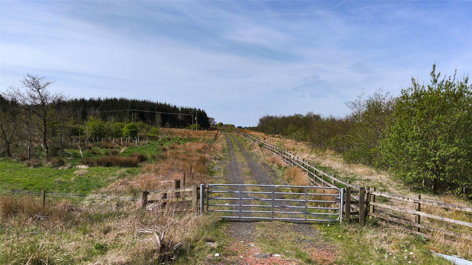 Laighmuir Woodland