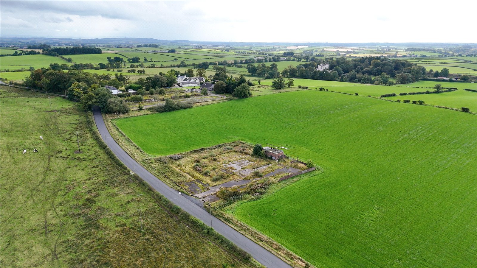 Aerial Photograph