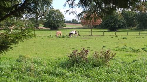 Meikle Fardle Farm