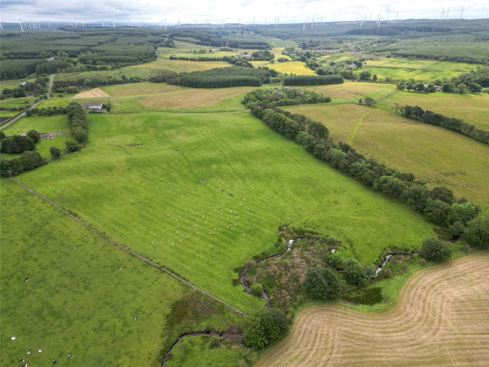 Field Looking South