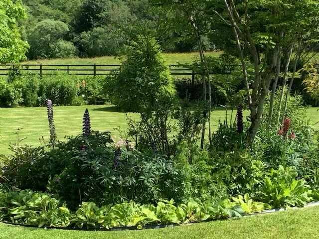 Garden In Summer