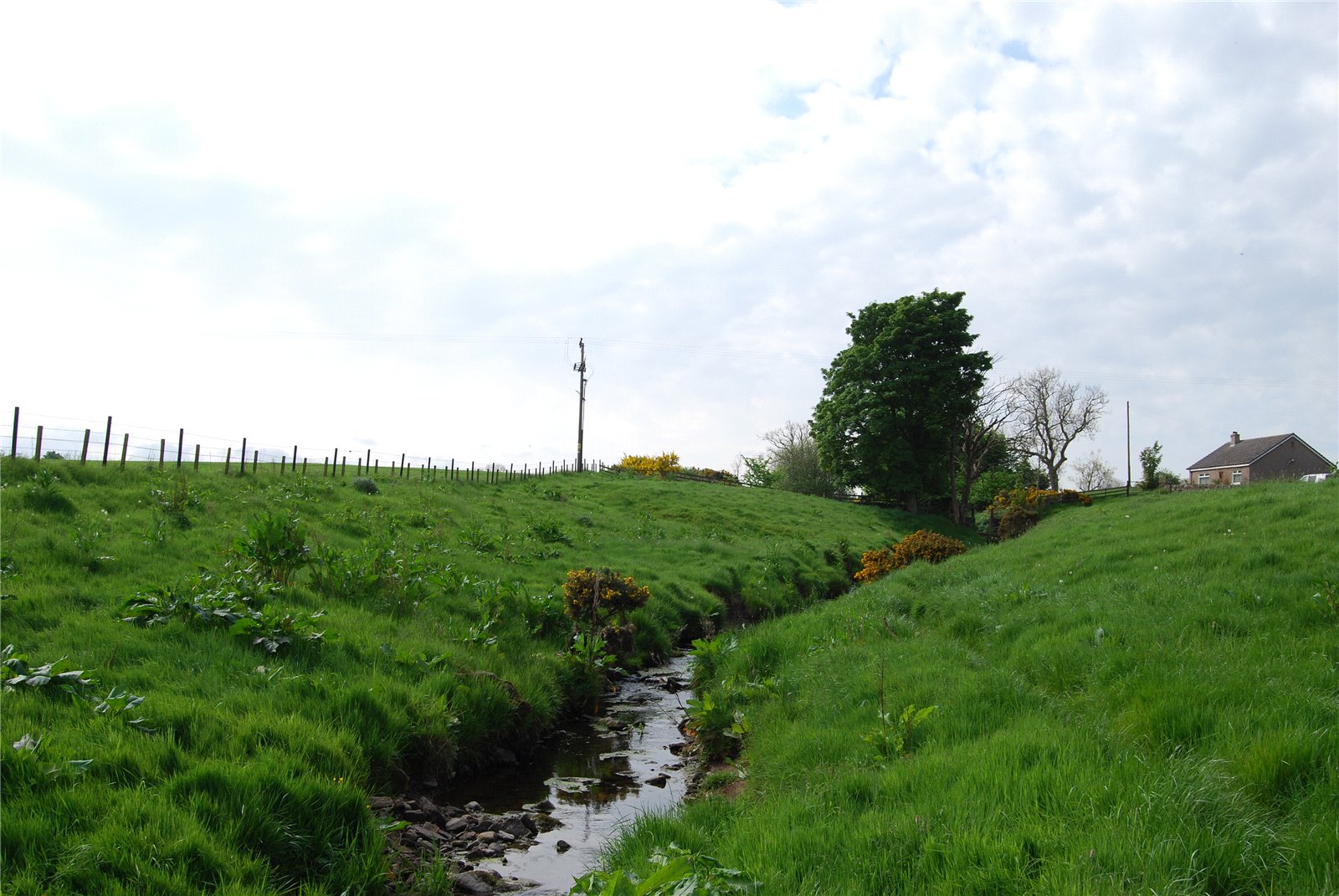 Craichie Mill Plot