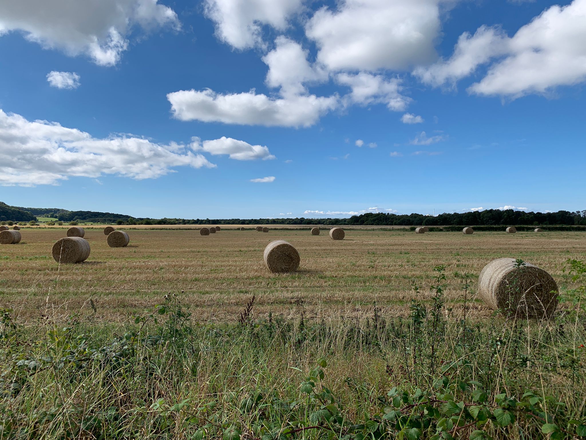 NFU Ayrshire | Galbraith | Alice Wilson