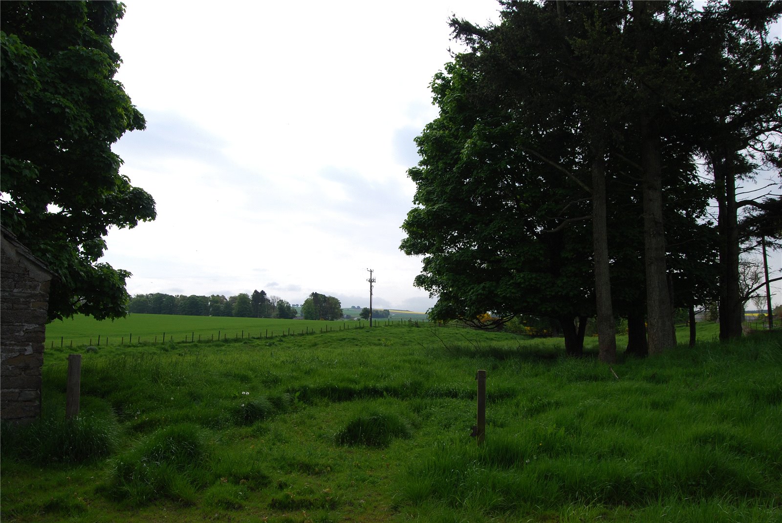 Craichie Mill Plot