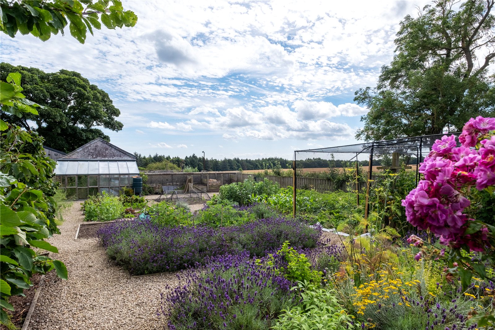 Kitchen Garden