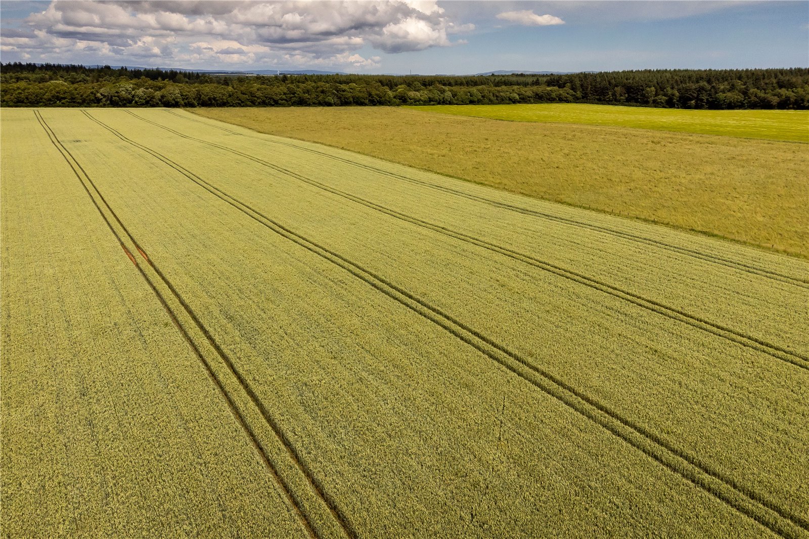 Greens Of Gardyne 11