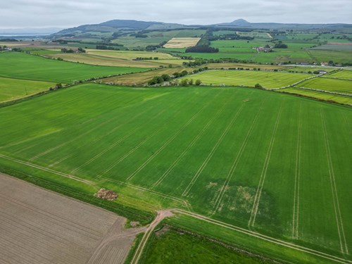 Goatmilk aerial shot