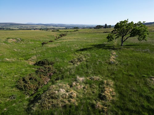 Battle of Sheriffmuir