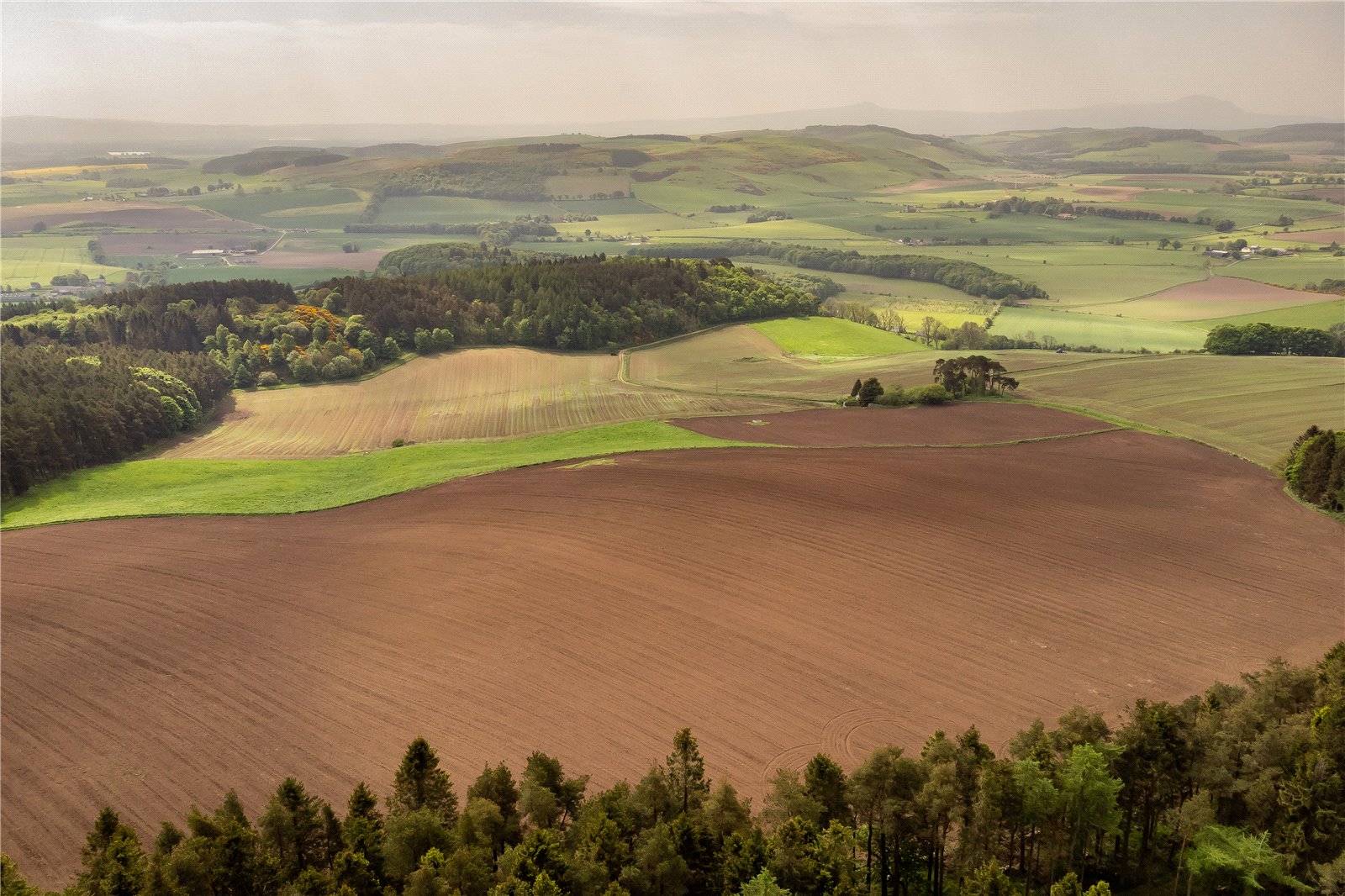 Ayton Farmland