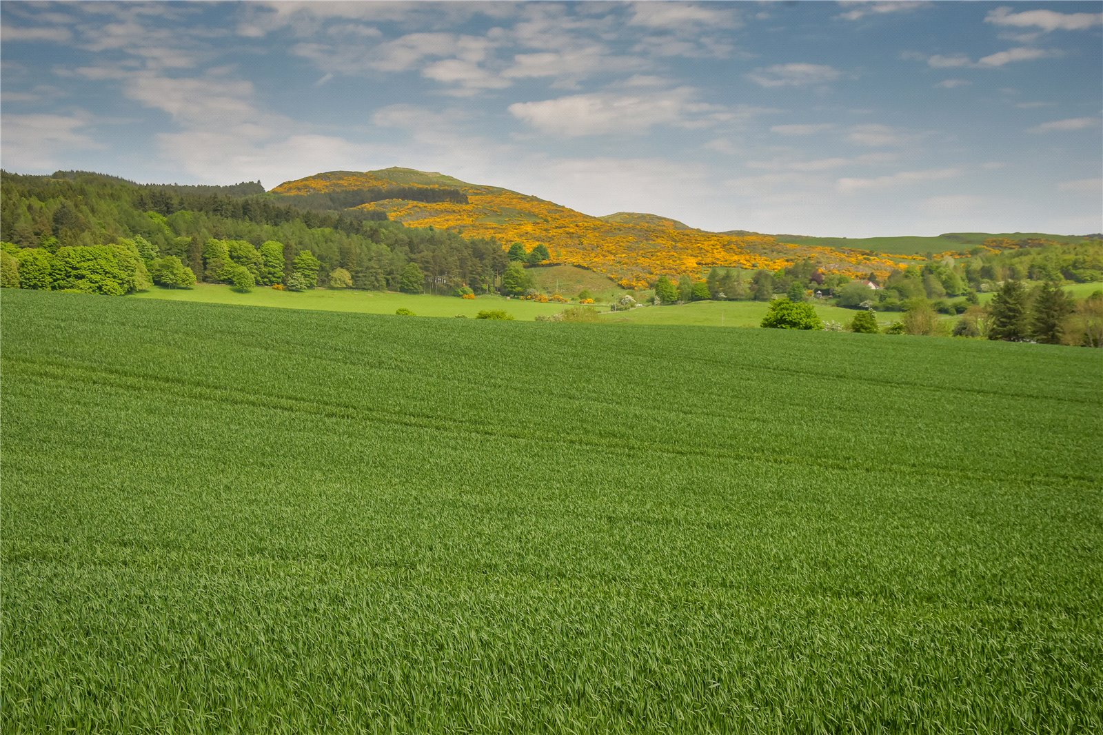 Ayton Farmland