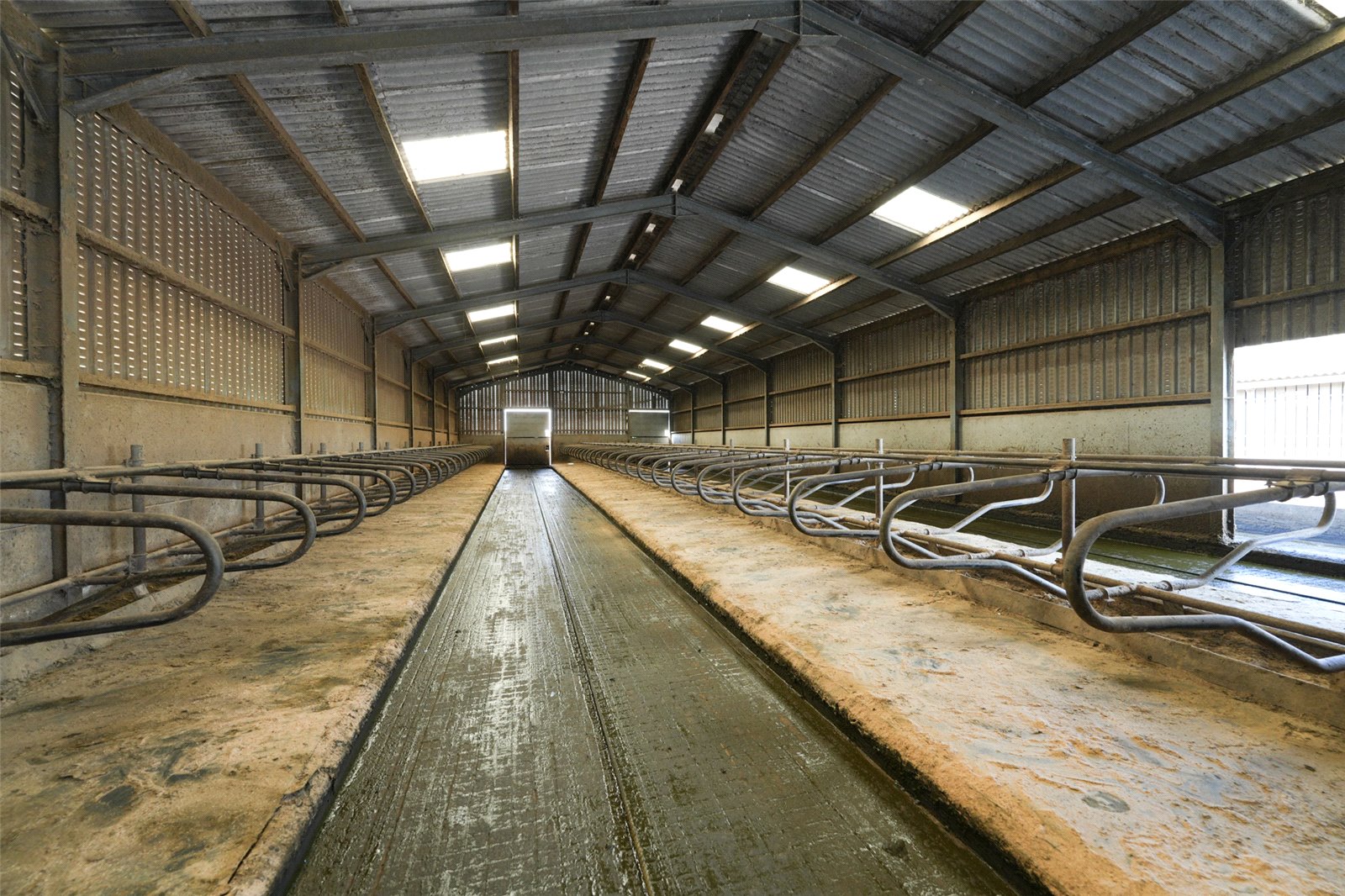 Cubicle Shed