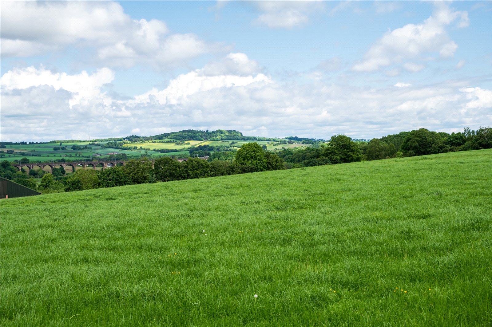 Lot 1 Farmland