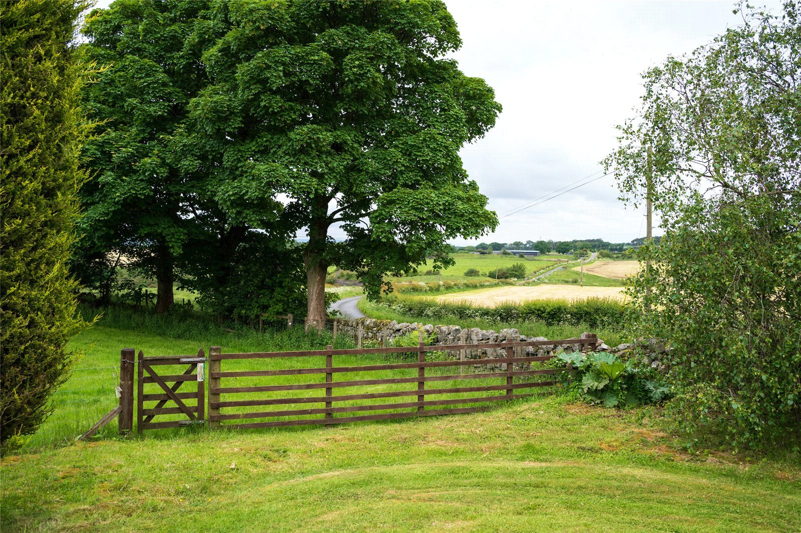 Side Gate