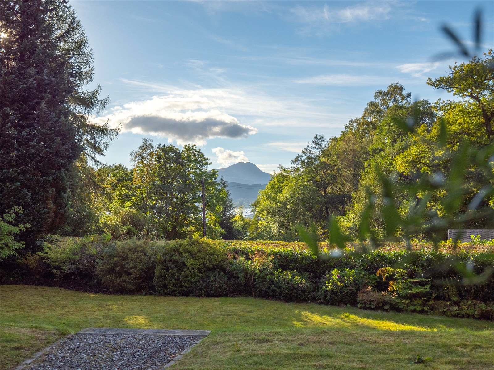 View Of Ben Lomond