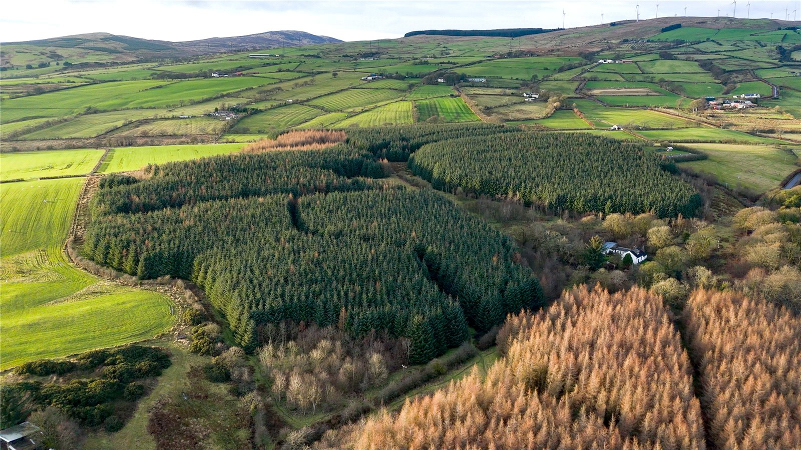 Drone Photograph