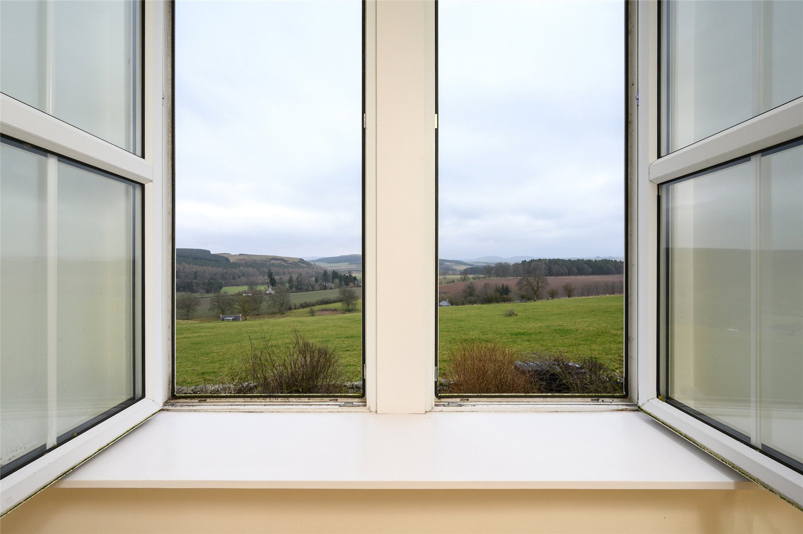 View From Bedroom