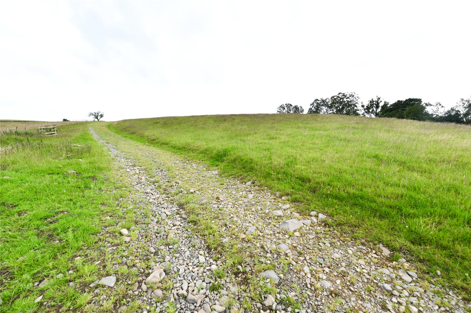 Farm Track