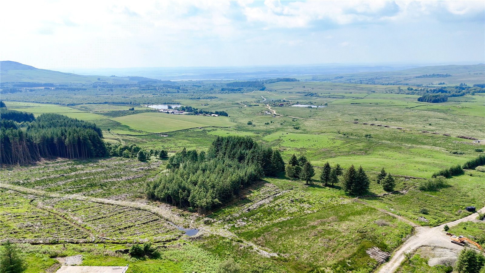 Mounded Replanting