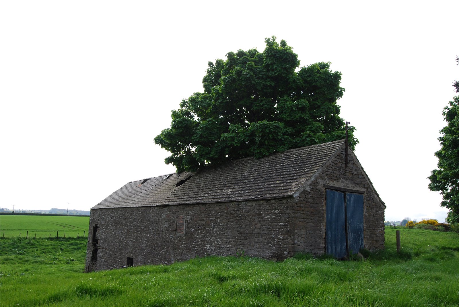 Craichie Mill Plot