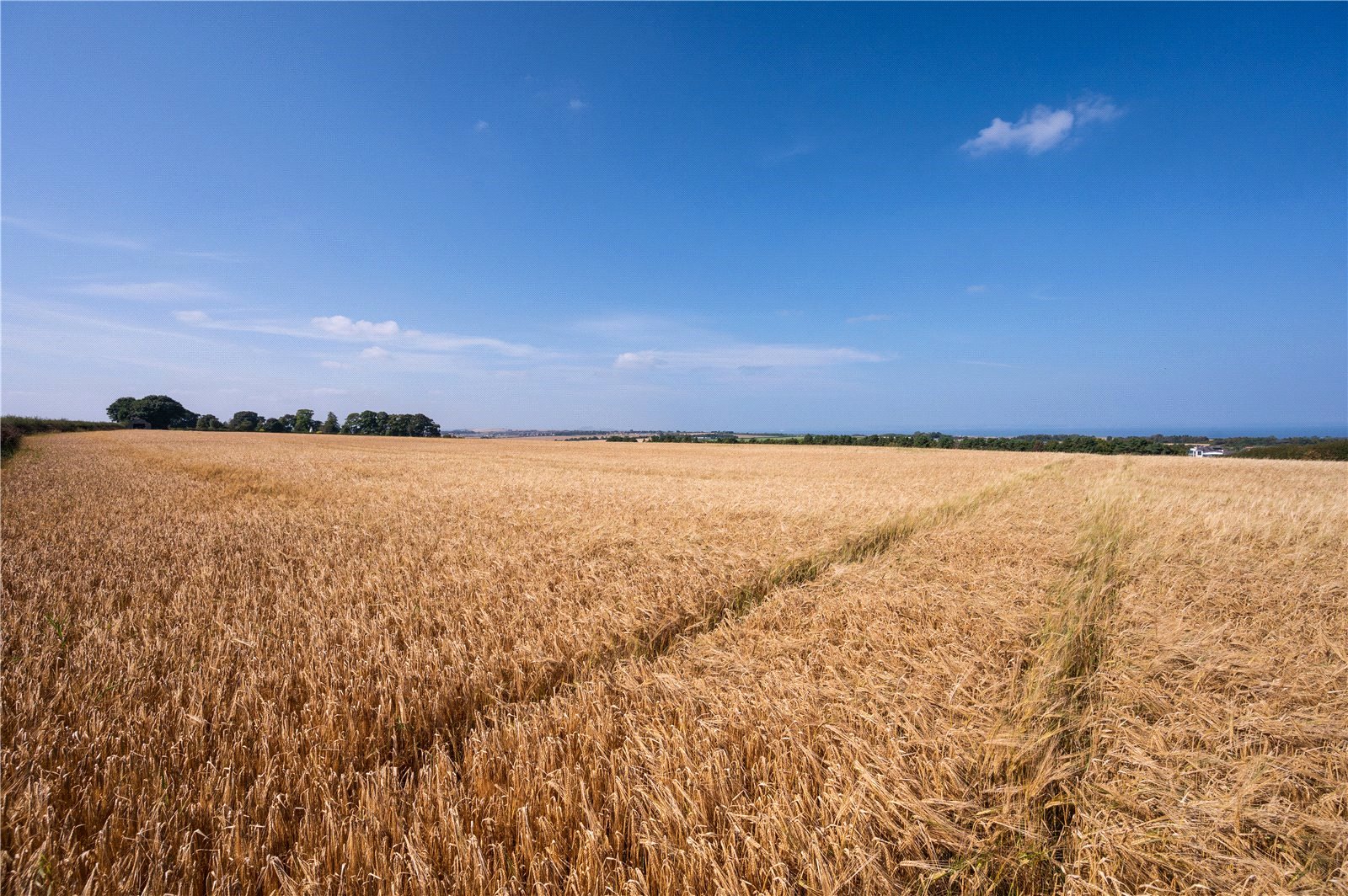 Lot 1 - Farmland