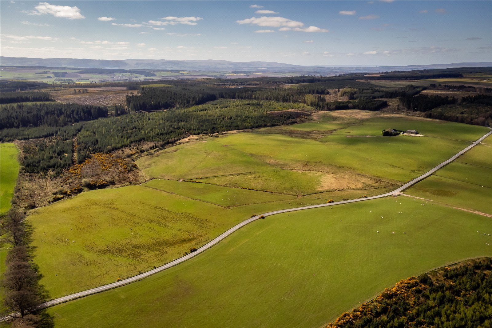 Pictston Farm