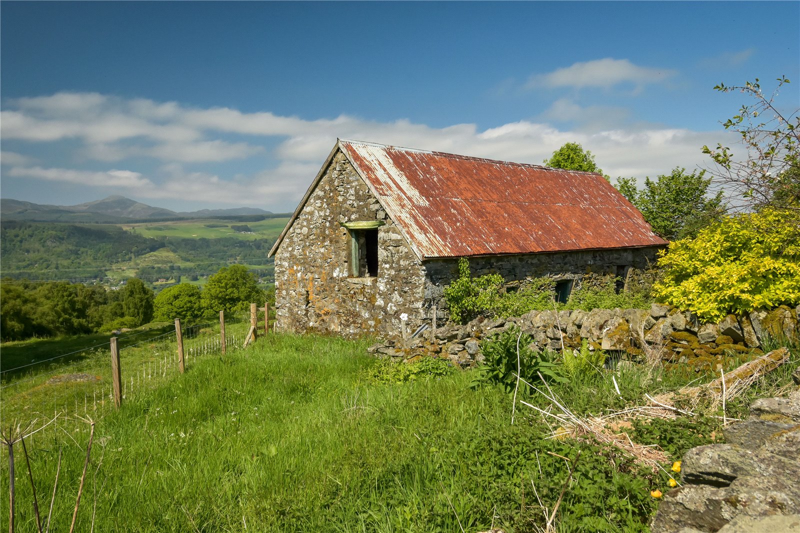 The Barn