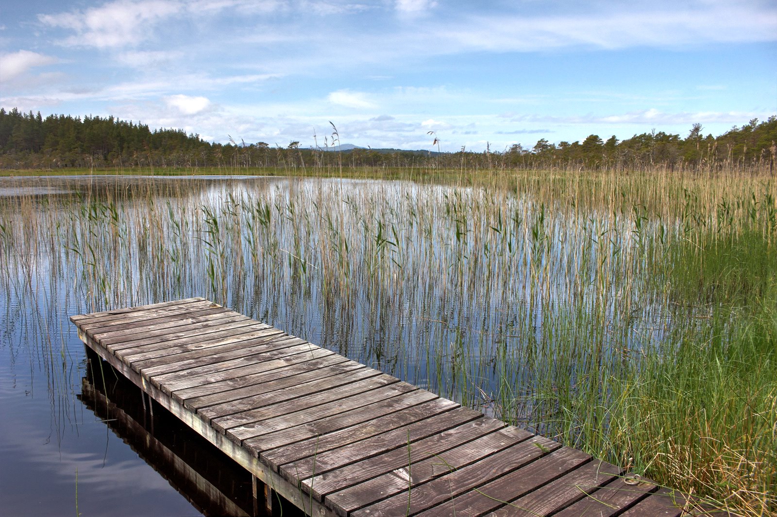 Loch Saine