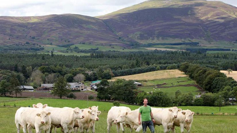 Blelack Farm and Cows