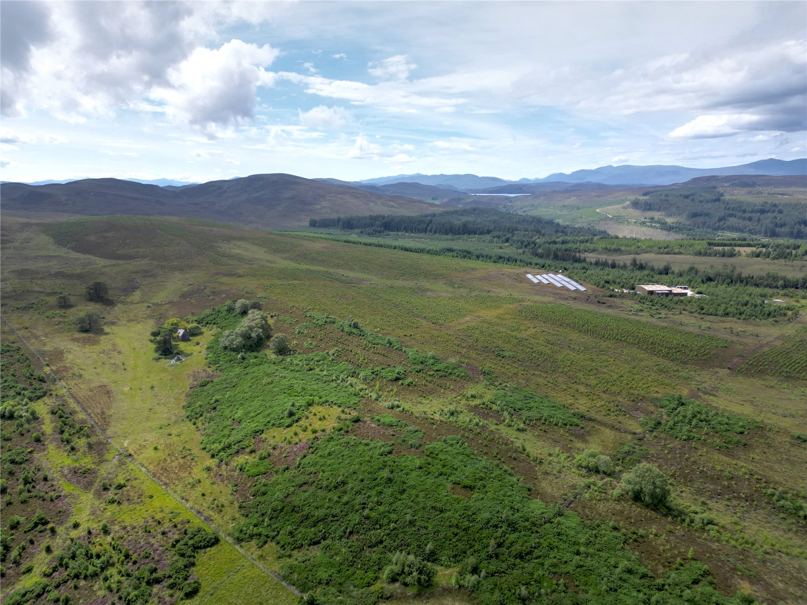 Fanblair Woodland