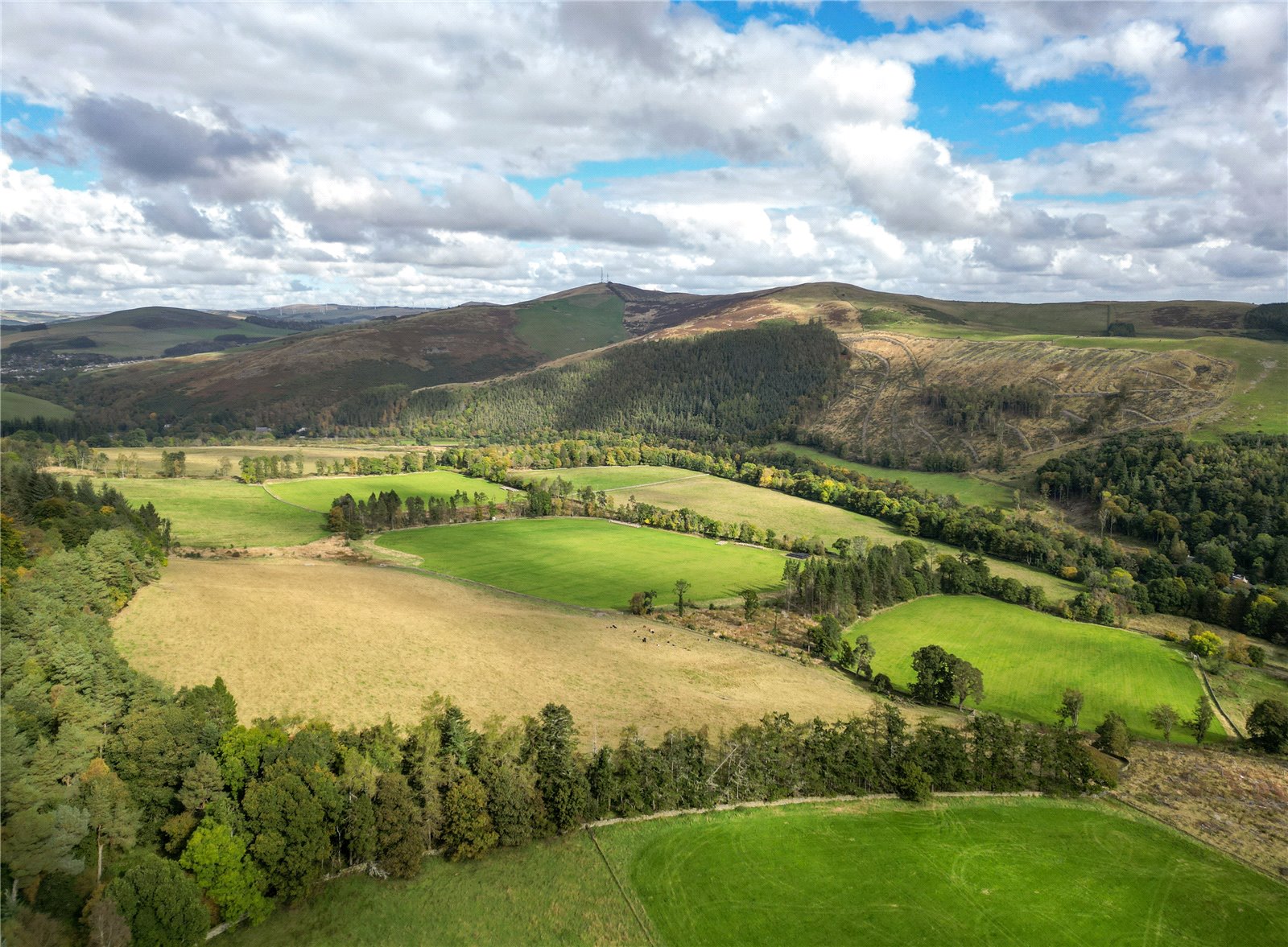 Aerial Of Land