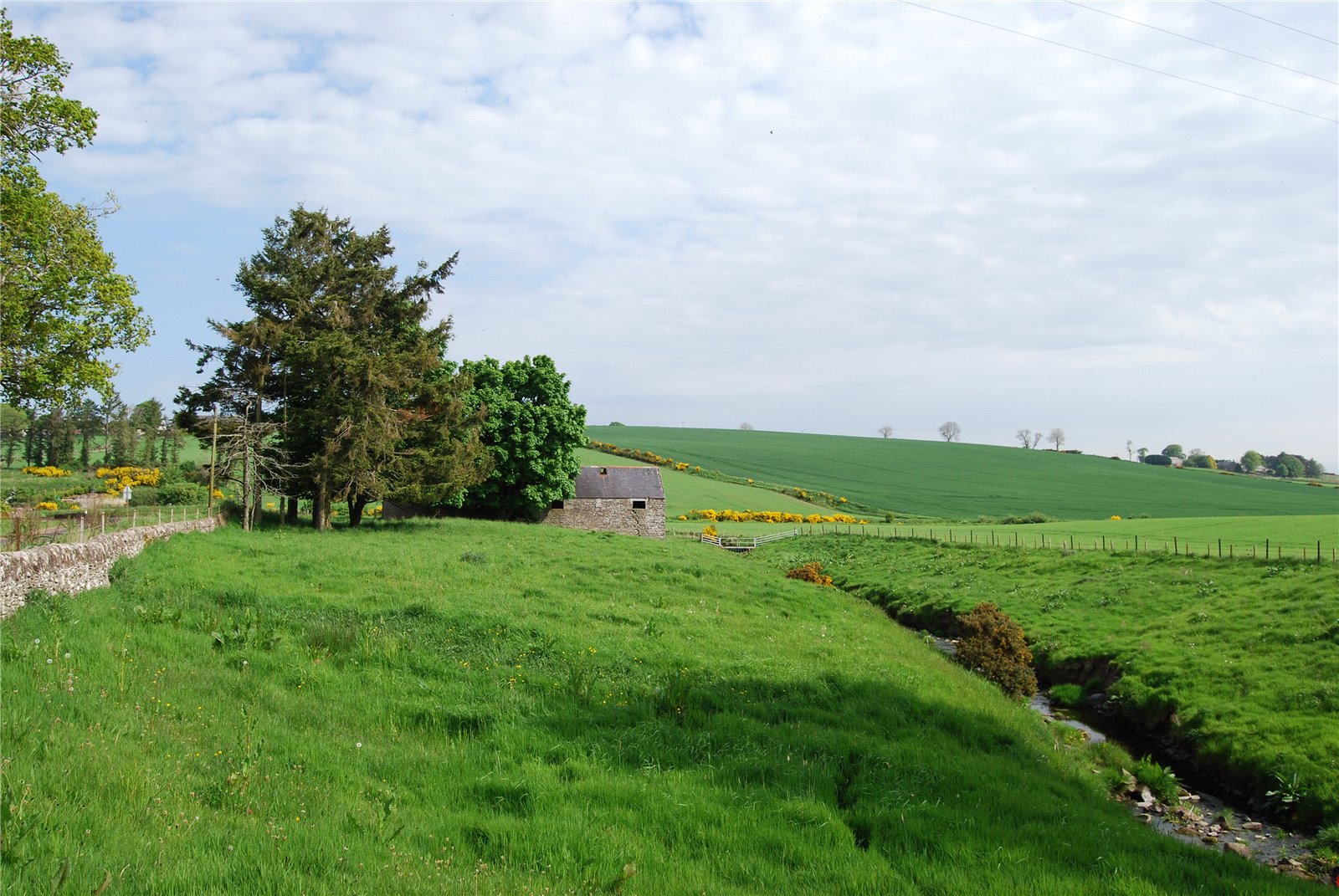 Craichie Mill Plot