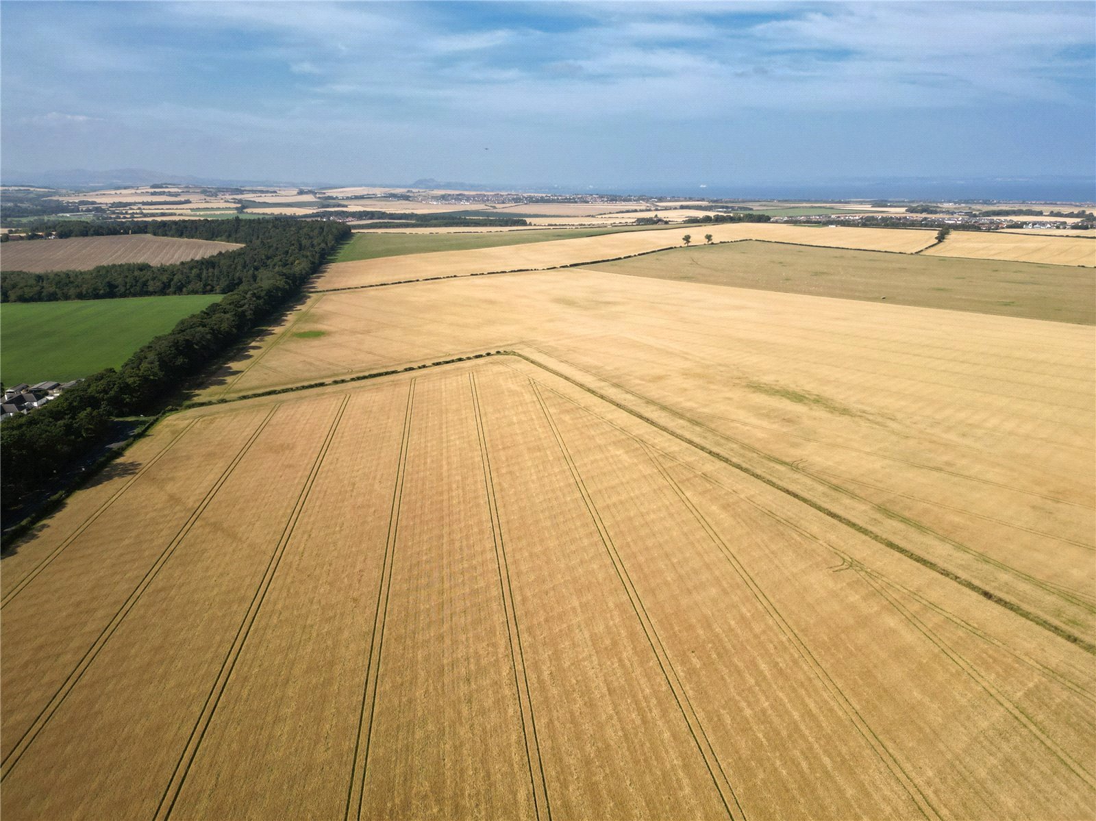 Lot 1 - Farmland