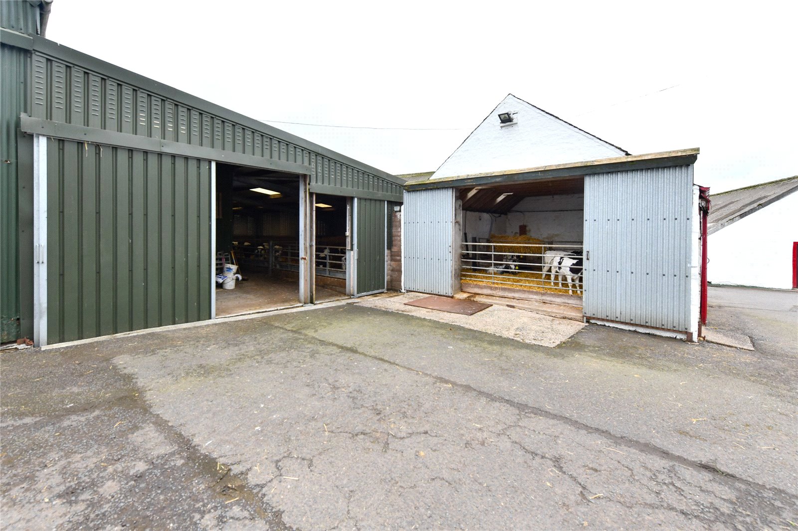 Calf Shed