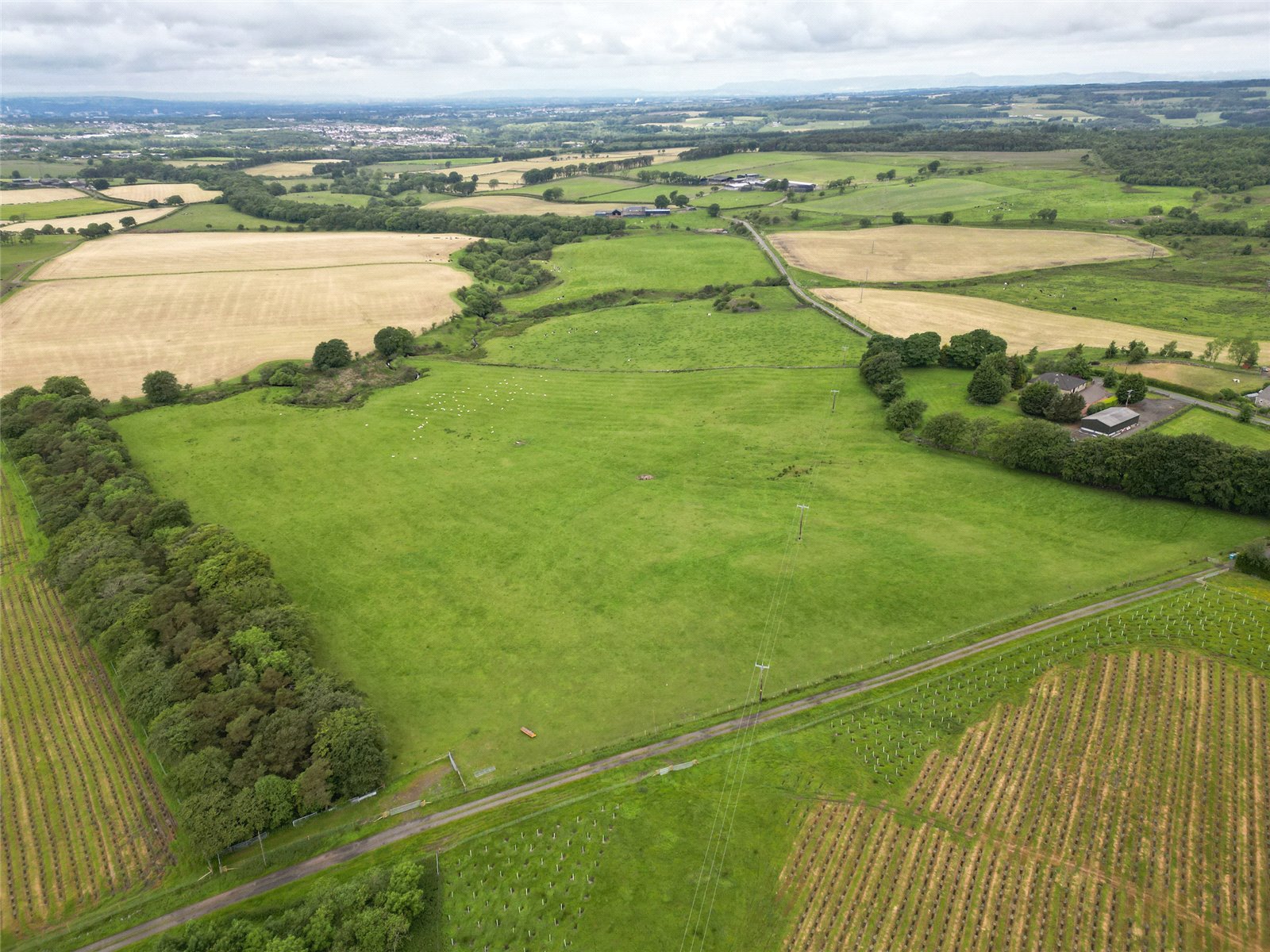 Drone With Woodland