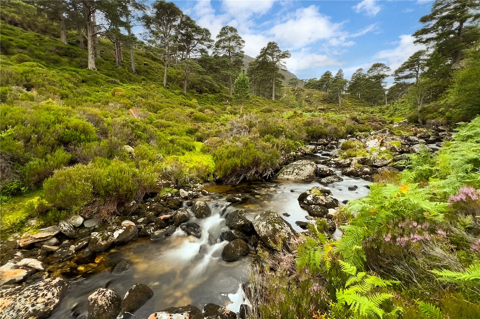 Mullardoch Estate