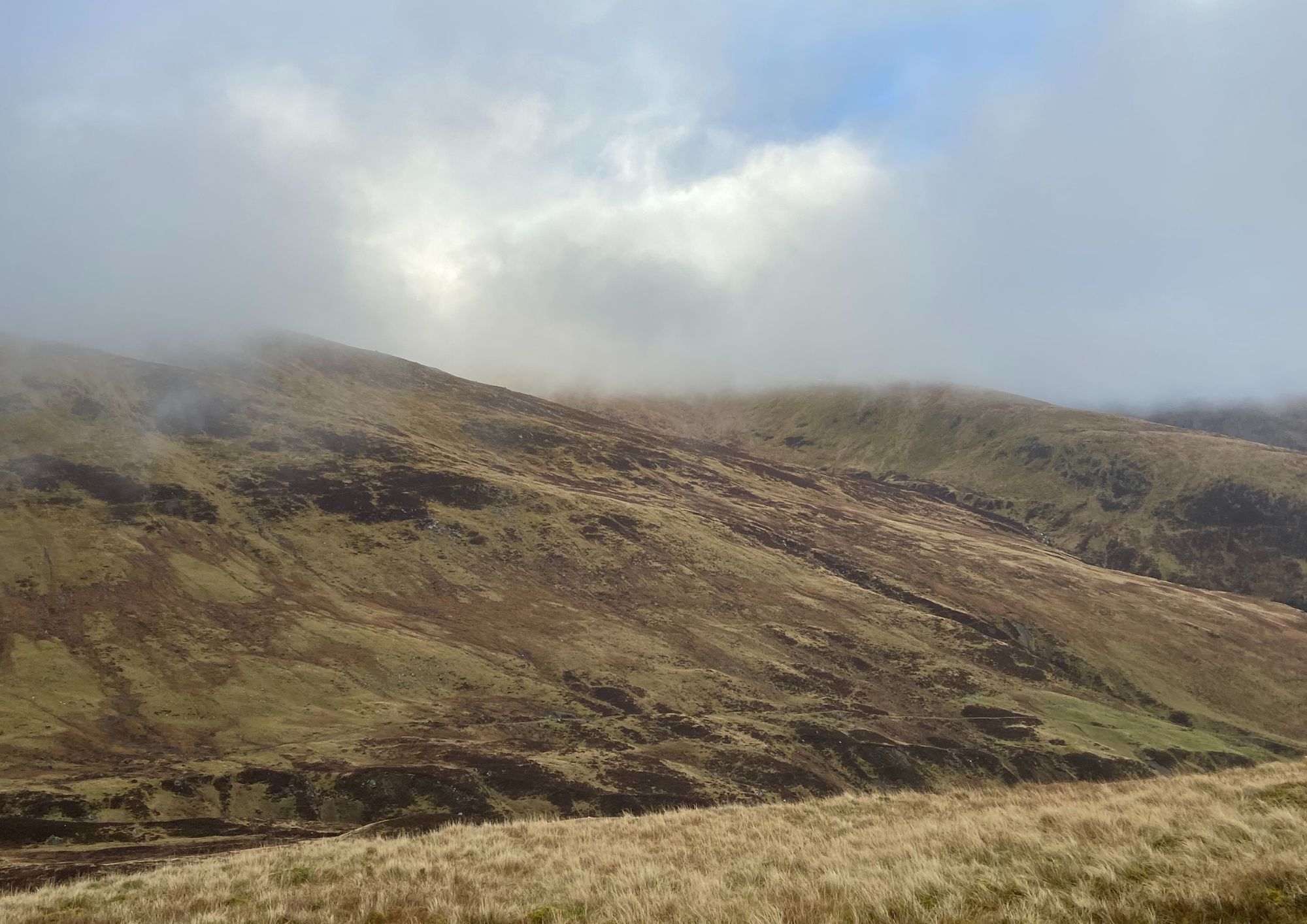 Peat Management | Galbraith | Edward Fletcher 