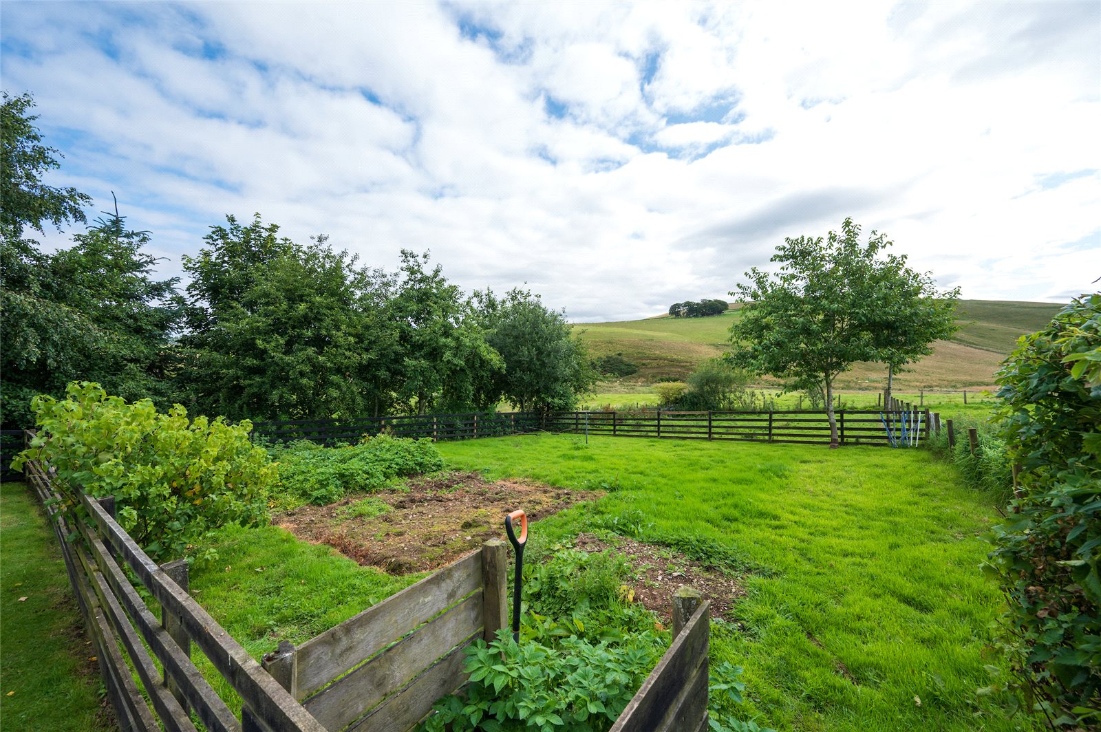 Vegetable Area