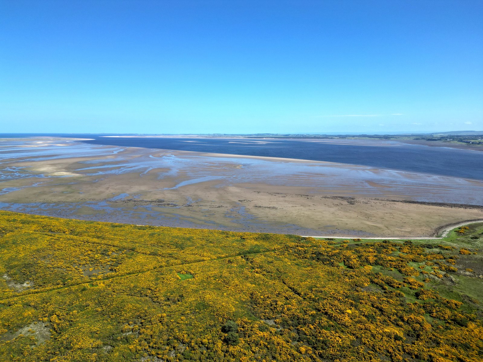 Cuthill Foreshore