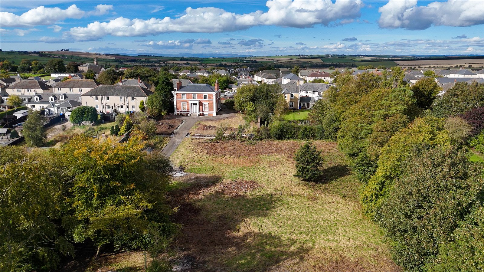 Daisy Bank Plots