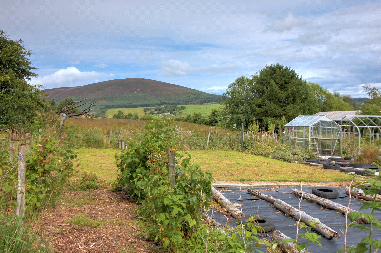 Brae Croft