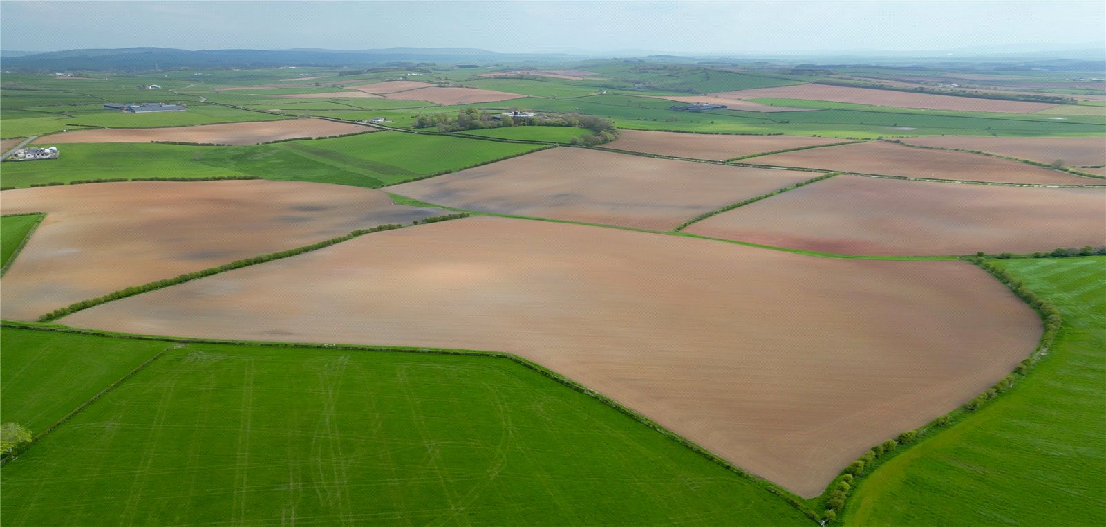 Aerial Photograph