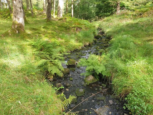 Leakage | Natural Capital | River