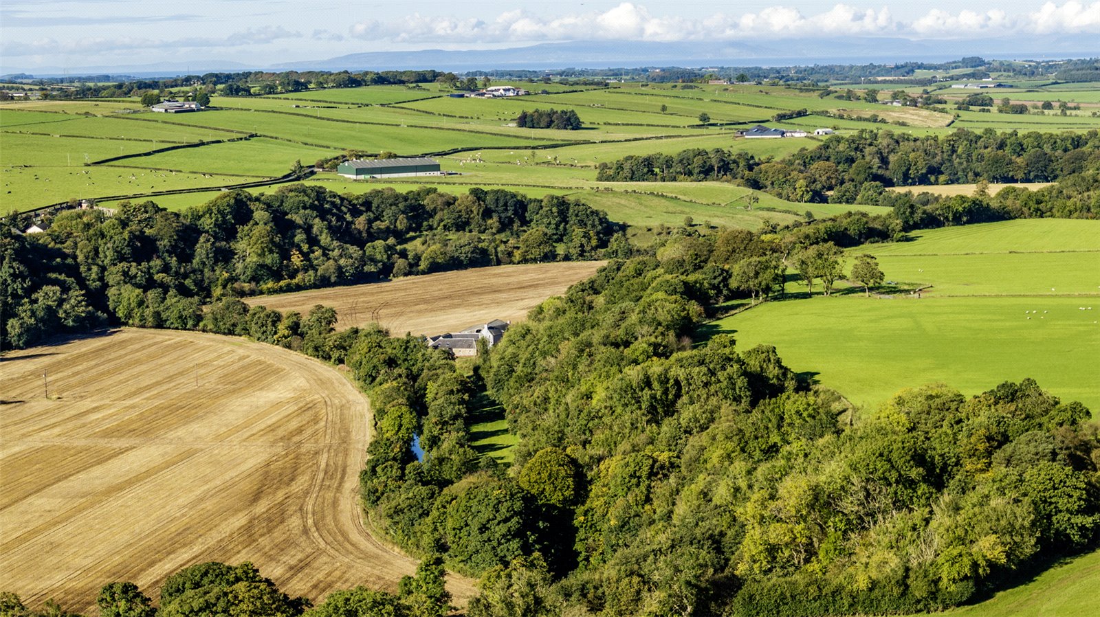 Aerial Photograph